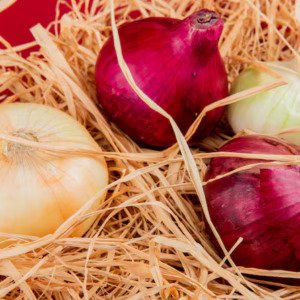 Onions